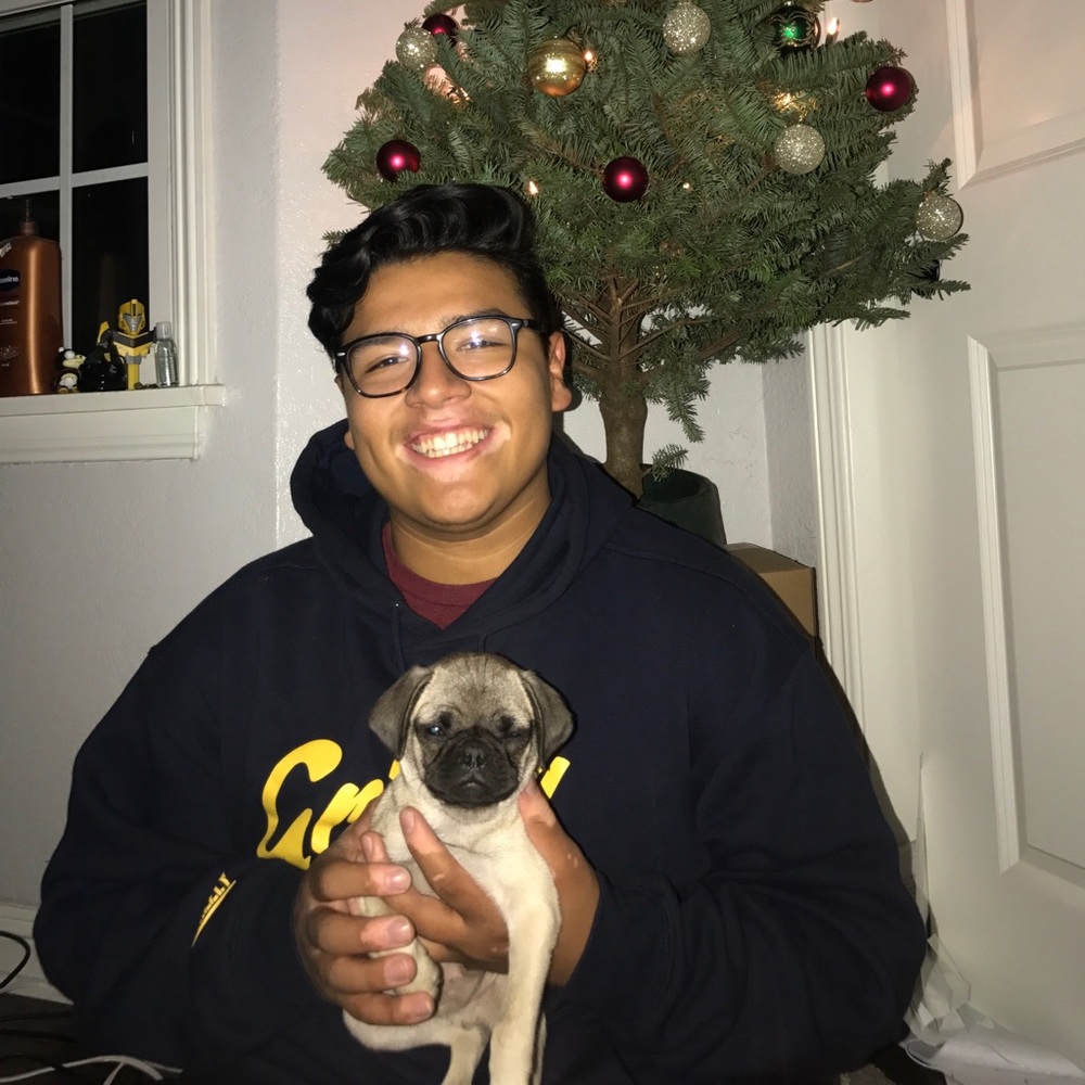 Meet your Posher, Francisco